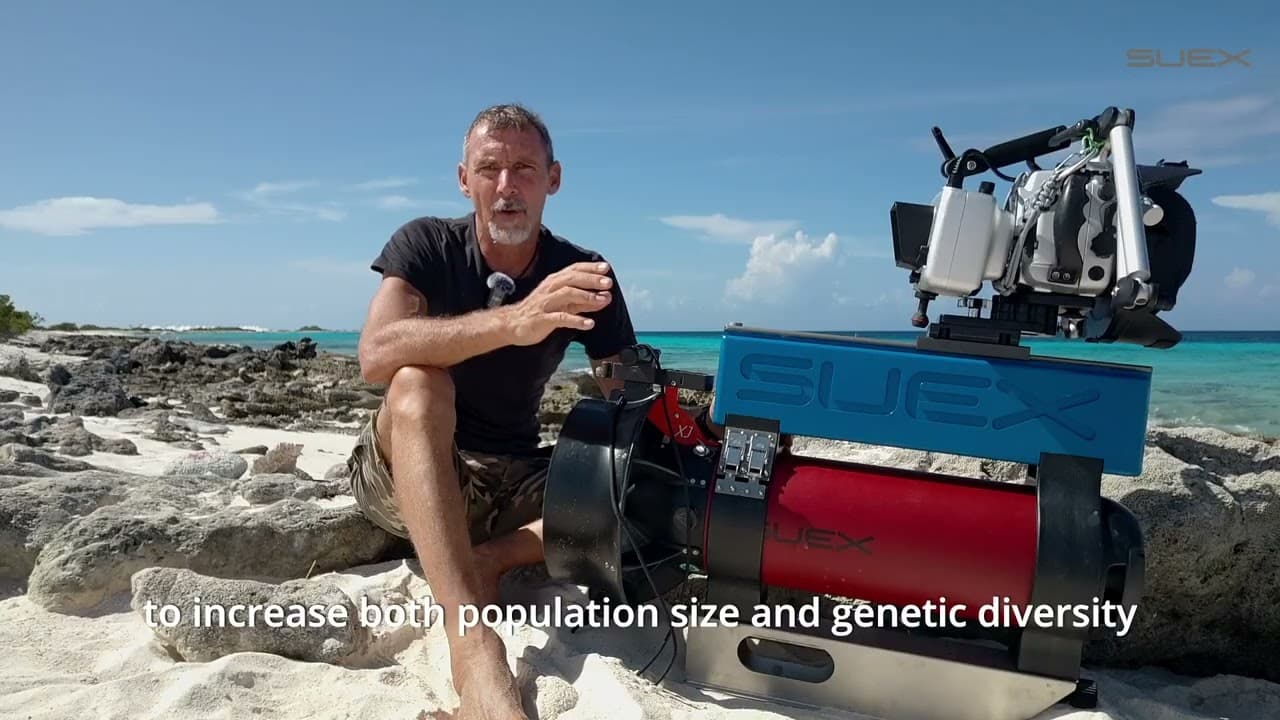 EP. 30 SUEX STORIES – REEF OF RESILIENCE BONAIRE