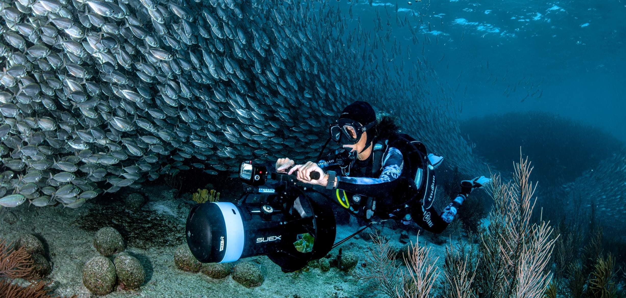 Taucher mit SUEX DPV durchquert einen Fischschwarm