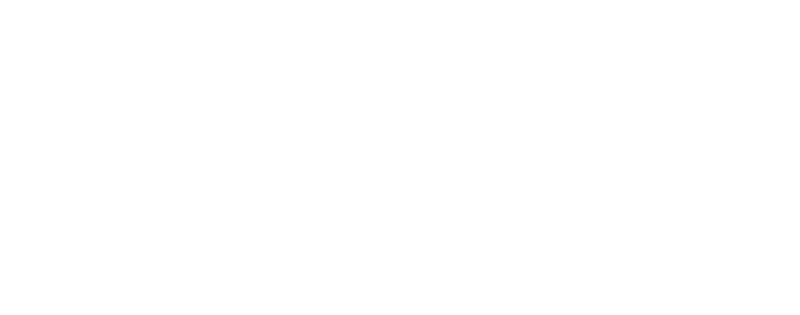Logo der AION Group