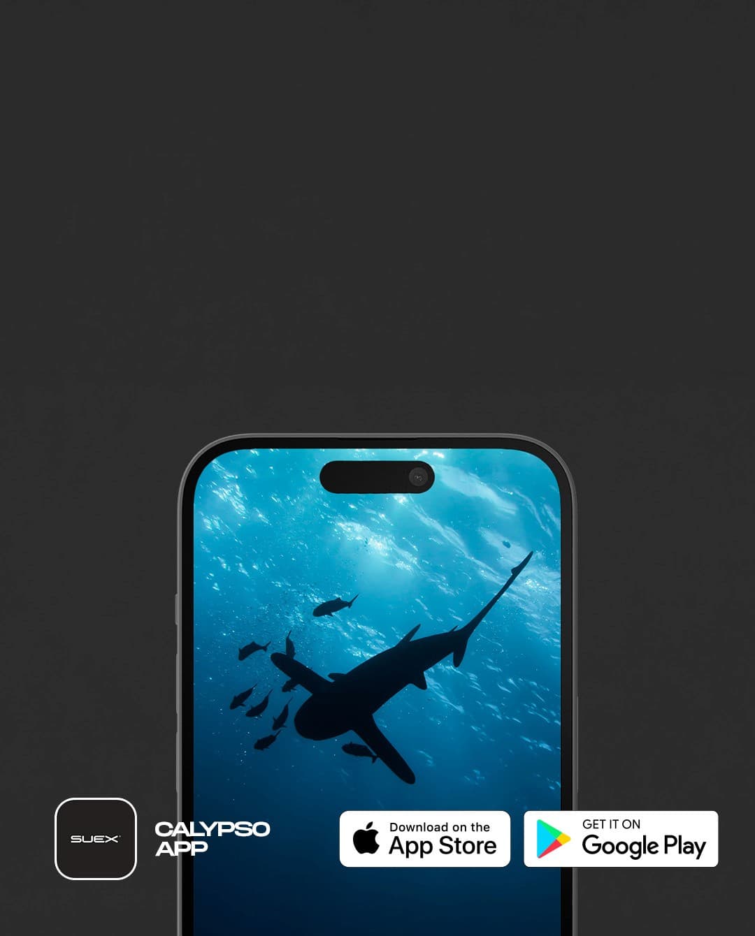 Calypso App
