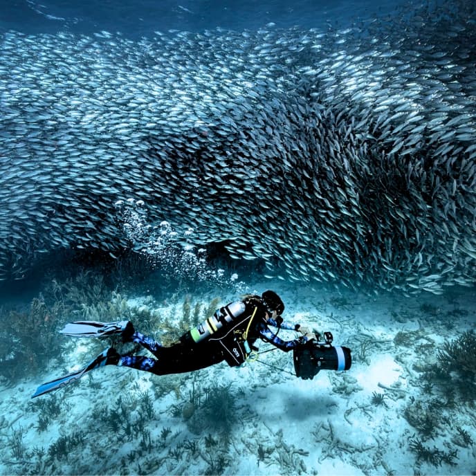 Taucher erkundet mit dem DPV der VR Series einen Fischschwarm